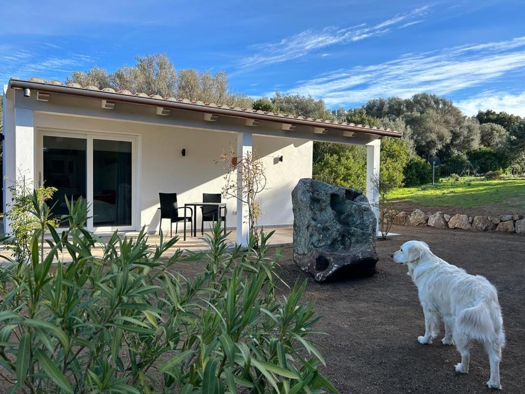 La Piana Holiday House Bassacutena Екстер'єр фото