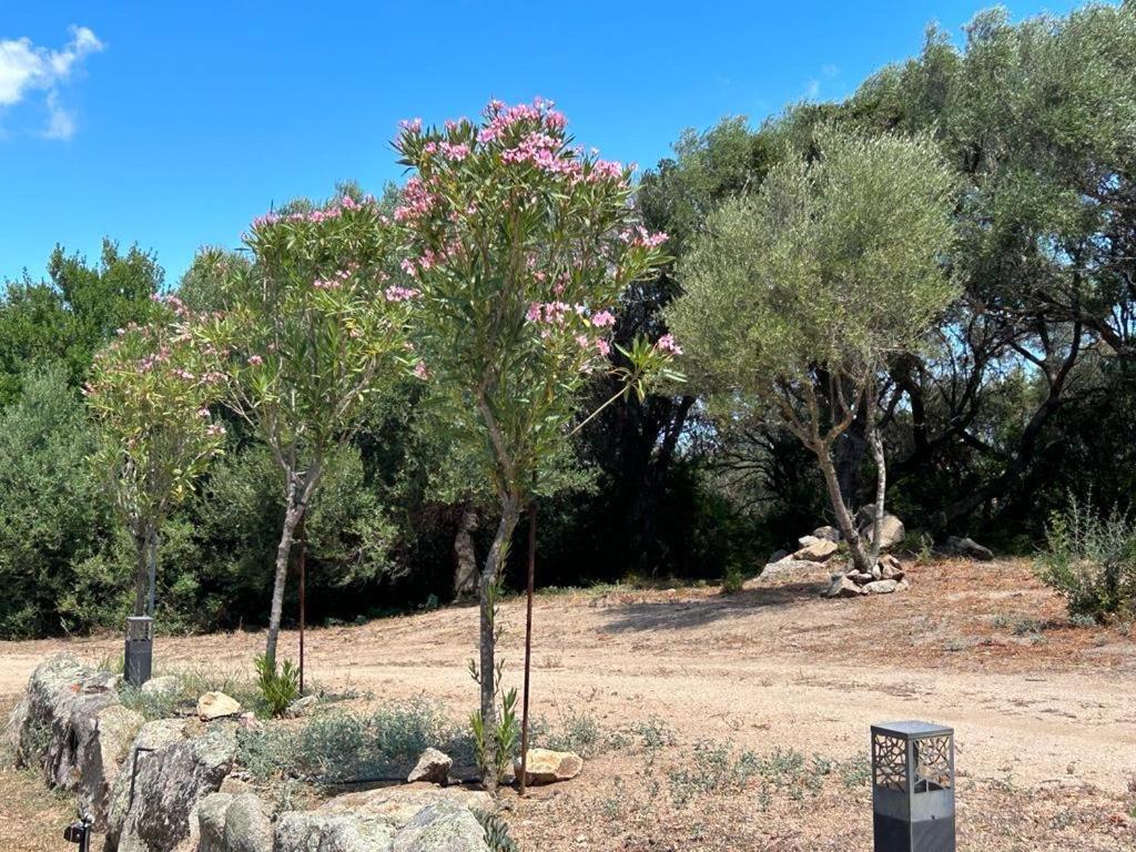 La Piana Holiday House Bassacutena Екстер'єр фото