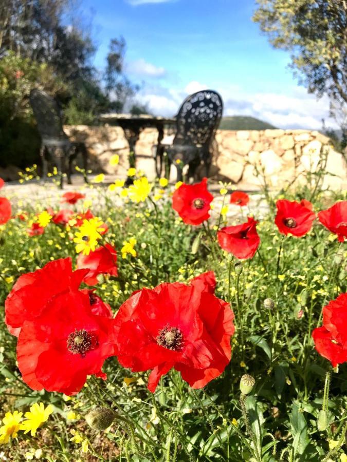La Piana Holiday House Bassacutena Екстер'єр фото